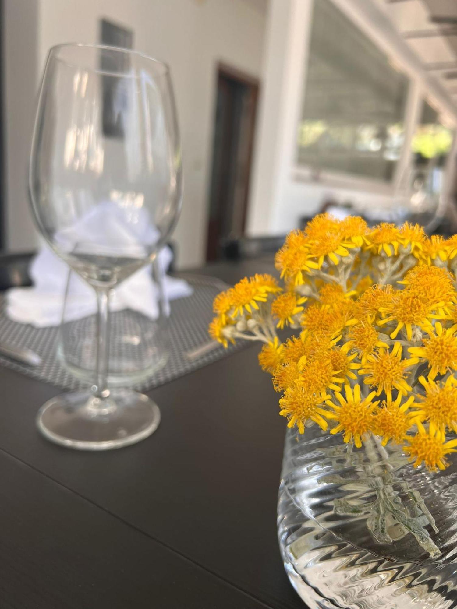 Murine Wellness Villa Istriana المظهر الخارجي الصورة